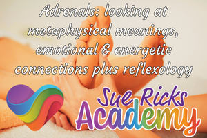 Adrenals - looking at metaphysical meanings, emotional and energetic connections plus reflexology.